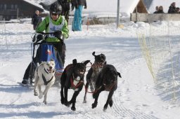 Lenk 2012 SM
